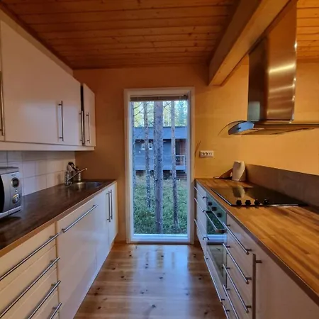 Ferienhaus Tikankolo Puumala