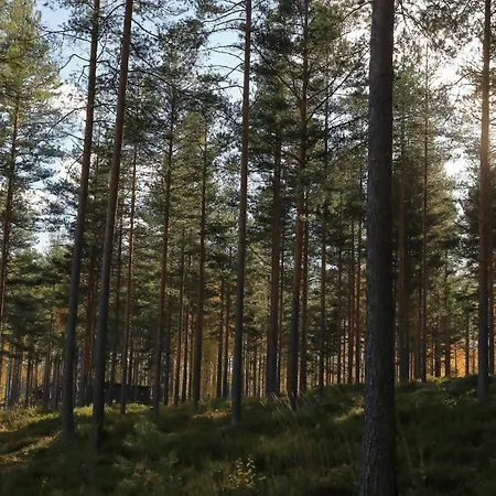 Tikankolo * Puumala