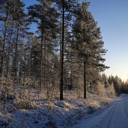 Tikankolo * Puumala